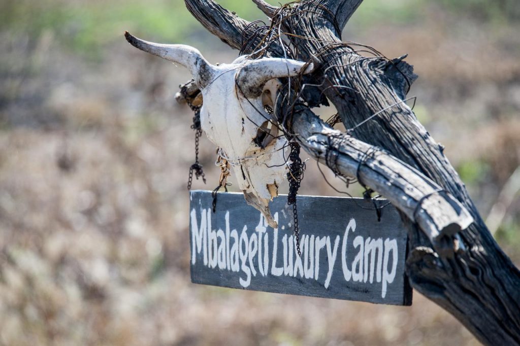 Mbalageti Serengeti Lodge