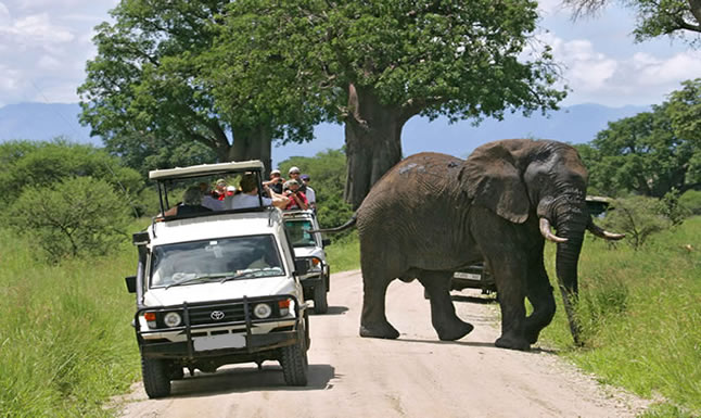 A Tour to Murchison Falls National Park