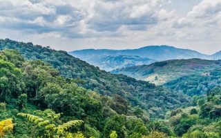 Bwindi Impenetrable National Park Weather