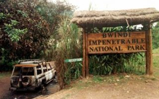 Bwindi impenetrable national park massacre