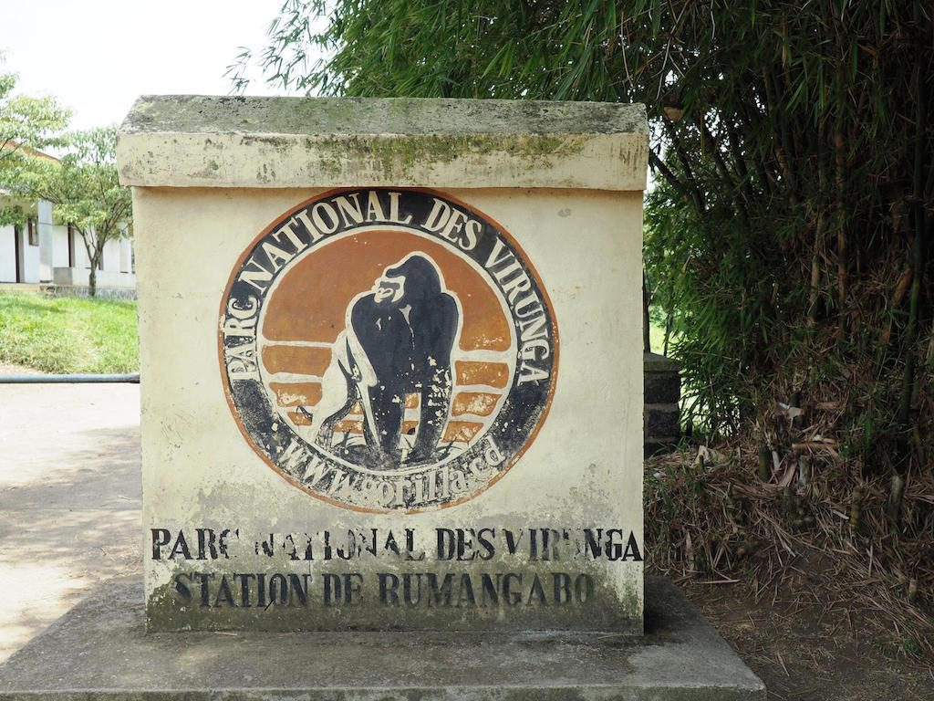 How To Get To Virunga National Park Virunga National Park Access how-to-get-to-virunga-national-park-virunga-national-park-access