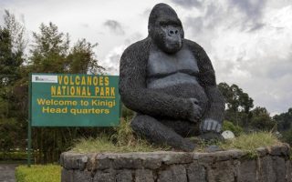 How to Get to Volcanoes National Park in Rwanda?
