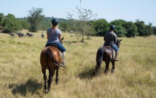3 Days Lake Mburo Safari