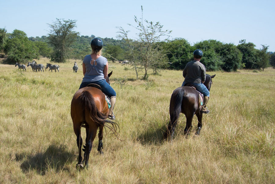 Which National Park Is Near Masaka Uganda?