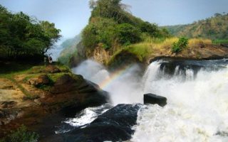 2 Days Murchison Falls Safari