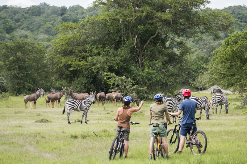 Two Day Uganda Safaris