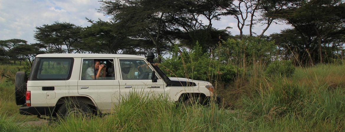 Game Drive in Semliki National Park