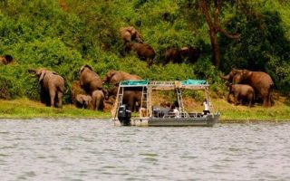 Boat Cruise in Queen Elizabeth National Park