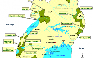 Uganda Safari National Parks