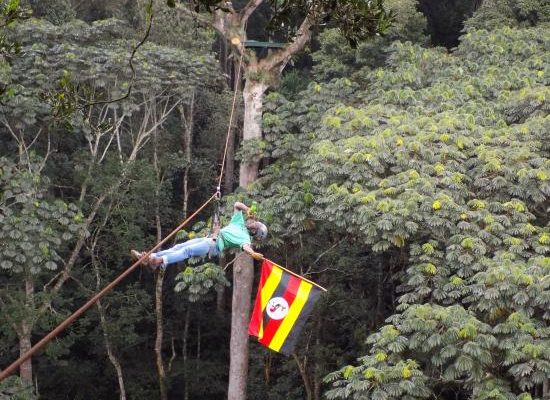 Zip Lining in Mabira Forest