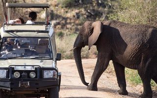 Game Drive in Kidepo Valley National Park