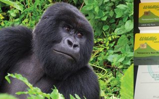 Gorilla Trekking Permits