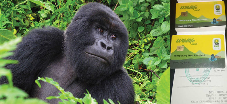 Gorilla Trekking Permits