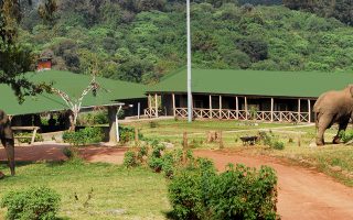 Ngorongoro Rhino Lodge