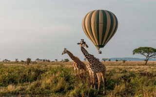 Uganda Balloon Safari