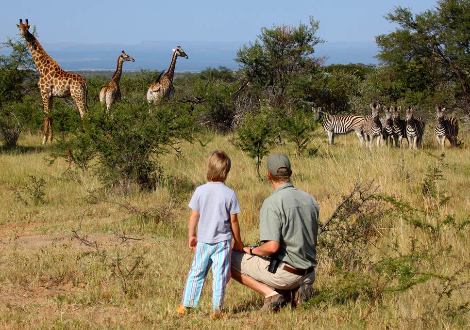 Uganda Family Safari