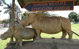 Uganda Safari in Entebbe