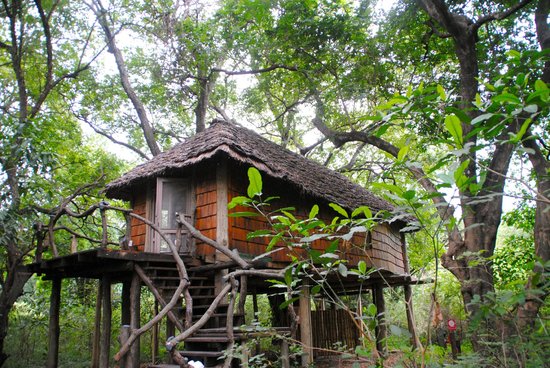 AndBeyond Lake Manyara Tree Lodge