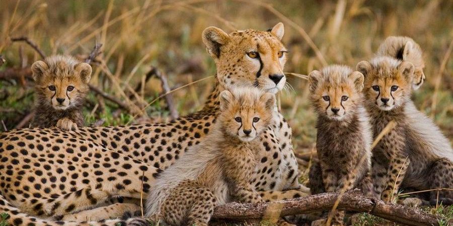 Top 10 reasons to visit Kenya