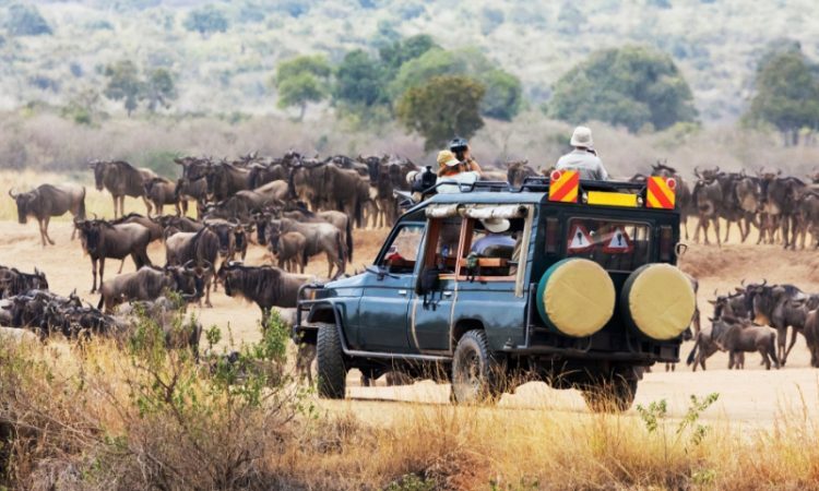 Kenya Uganda Safari