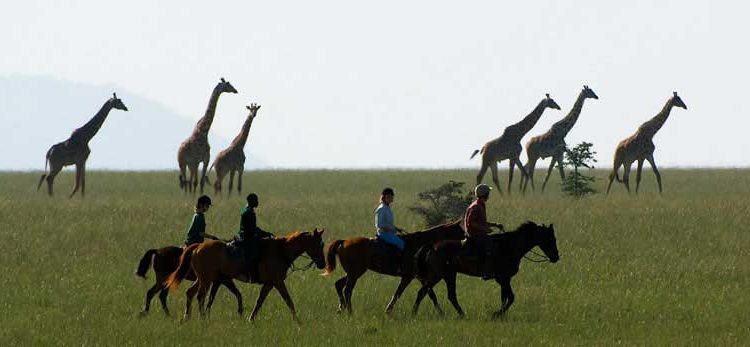 Uganda Horse Safari