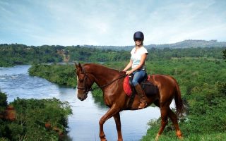 Uganda Horse Safari