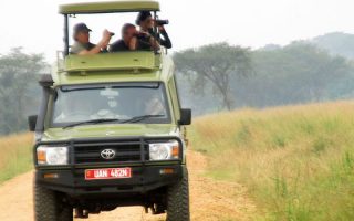 Uganda Safari Tour Operators
