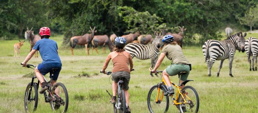 Uganda Safari in SeptemberA