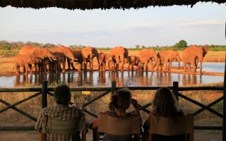 Voi wildlife Lodge