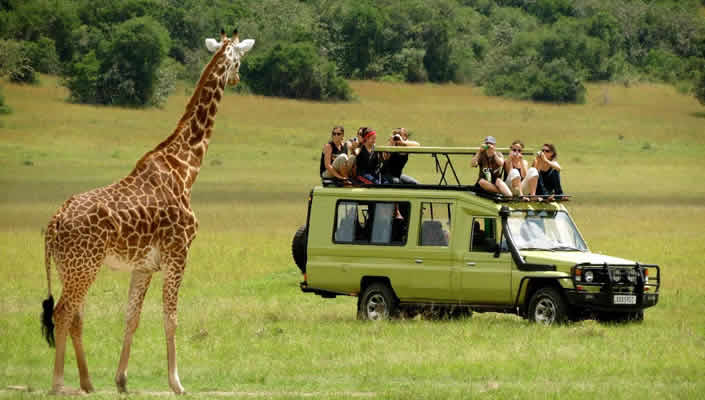 Self-Drive Safari in Uganda