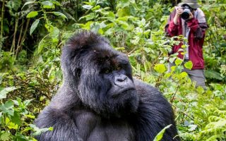 Uganda 2 Day Safaris