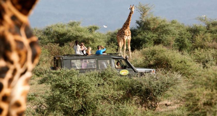 Uganda Safari Game Drives