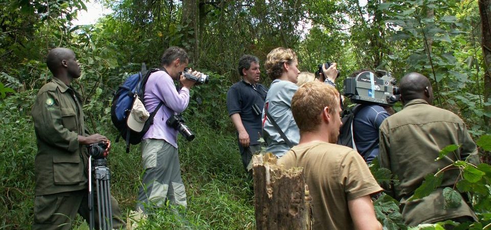 Uganda Safari Safety