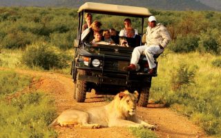 Uganda Safari Tourist