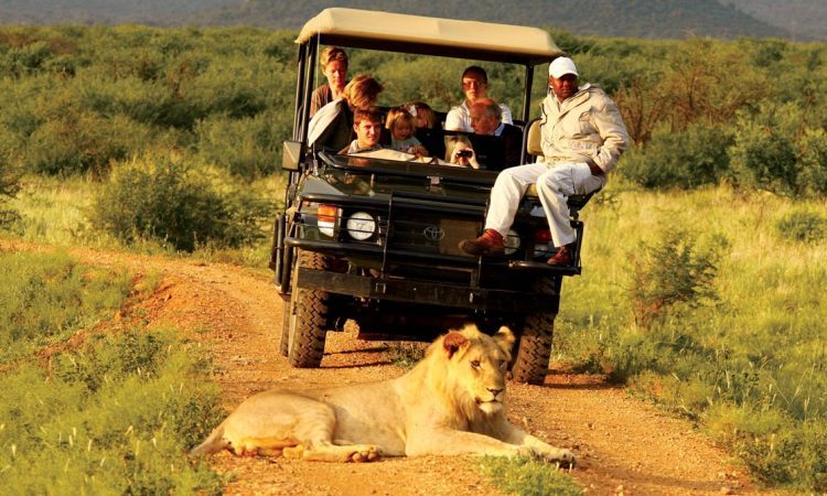 Uganda Safari Tourist