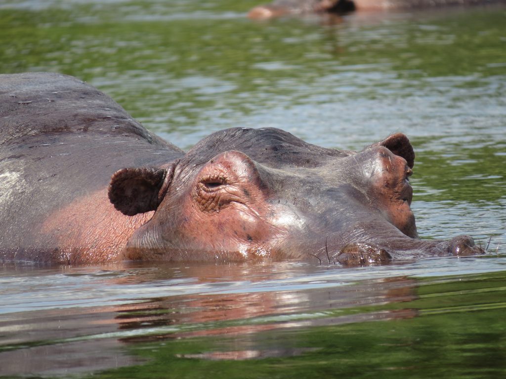 Uganda the Land of Endless Wonders