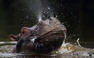 National Parks to visit in Uganda