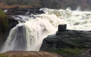 3 Days Murchison falls national park safari