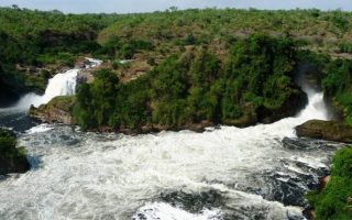 5 Days Murchison Falls and Chimpanzee Trekking Safari