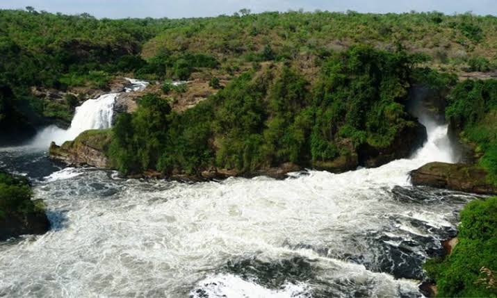 A Tour to Murchison Falls National Park