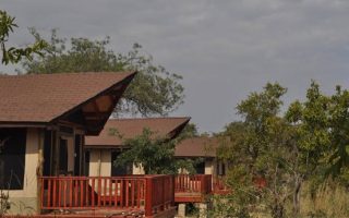 Balloon Camp Tarangire