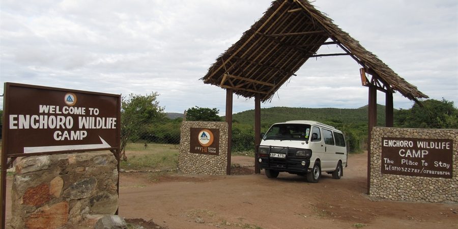 Enchoro Wilderness Camp