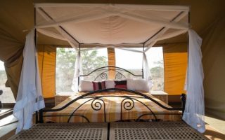 Serengeti Wildebeest Camp