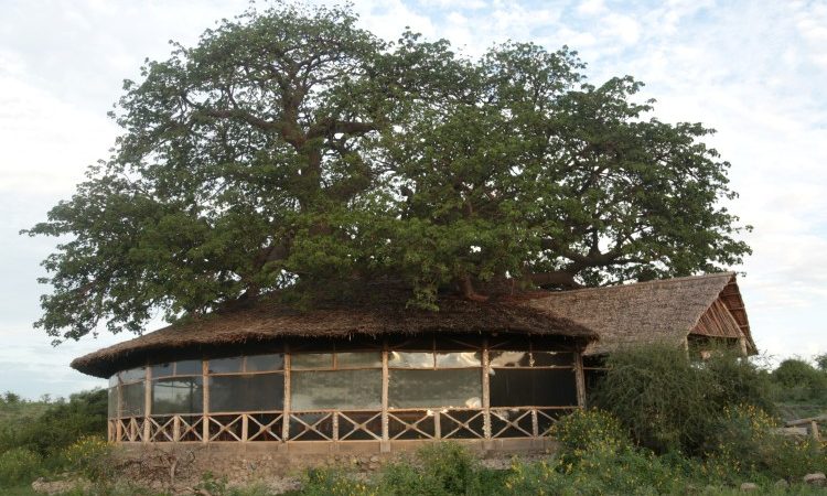 Burudika Manyara Safari Lodge