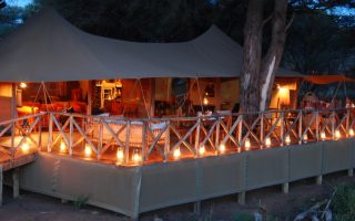 Elephant Bedroom Camp