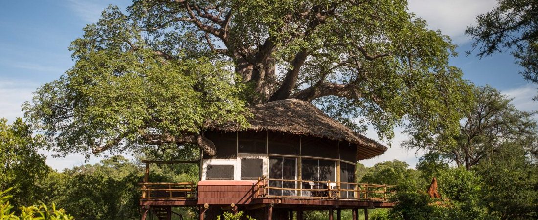 Tarangire Treetops Lodge