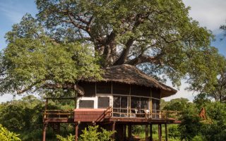 Tarangire Treetops Lodge