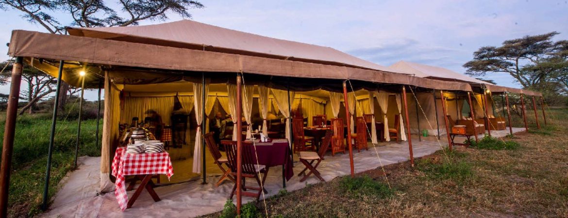 Acacia Migration Camp