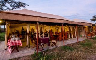 Acacia Migration Camp