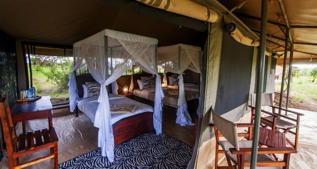 Acacia Migration Camp